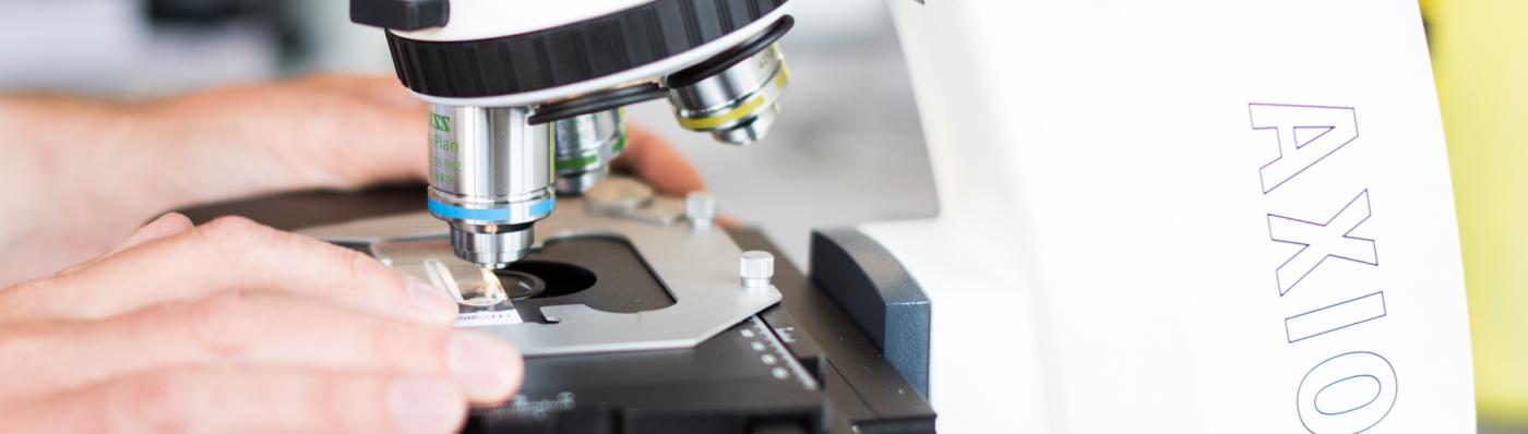 Foto van een onderzoeker die met de microscoop aan het werk is